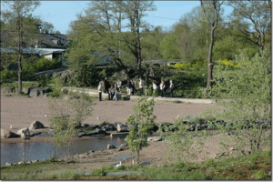 p 2009munmaksakerho8