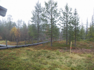 p ruskaretki05